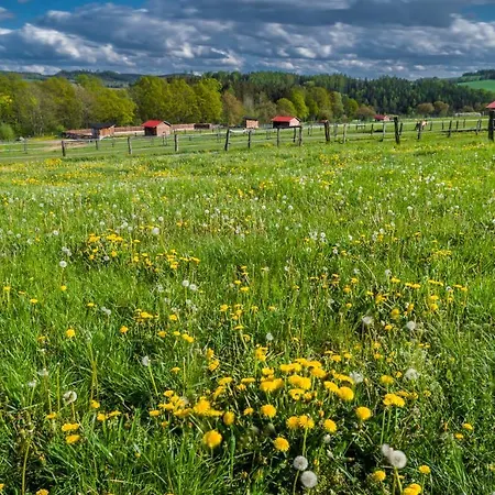 בית הארחה Ranch Jestrebice 4*