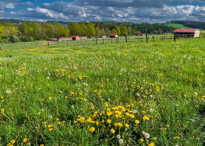 Guest house Ranch Jestrebice 4*